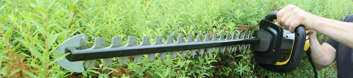 Hedge trimmer